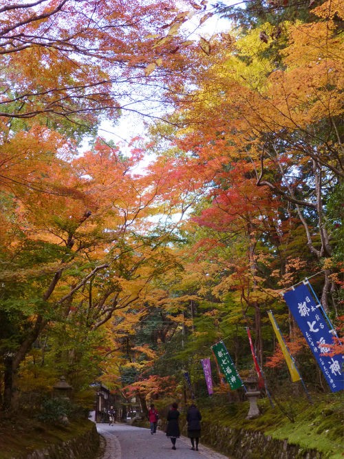 紅葉寺 赤山禅院 一病息災 日本酒が旨い