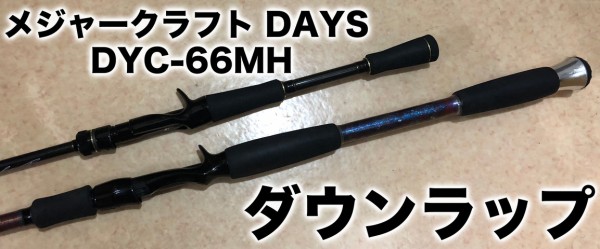 インプレ】ウィットマーダウンラップ 1X 【ビッグベイト・羽根