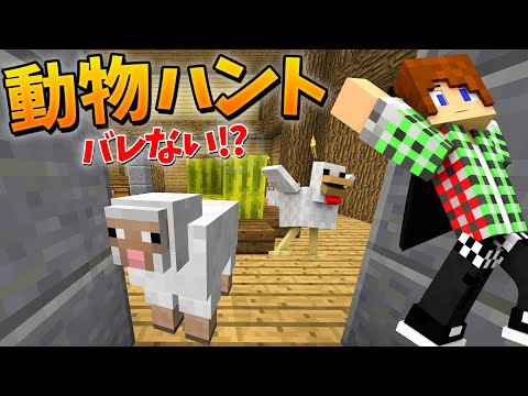 トムとマルク マイクラ 動物ハントでハンターから逃げろ バレないで生き残ることは不可能 Youtuberコメ速報
