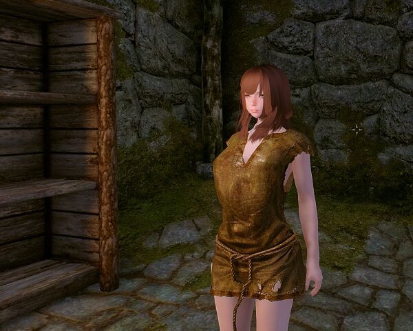 Skyrim スカイリムとスカイリムseのmod環境を使い分ける Yoyoのゲームブログ