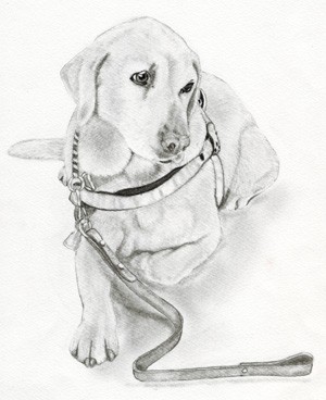 犬の描き方 解説ページ新追加 イラストレーター くるみ るか
