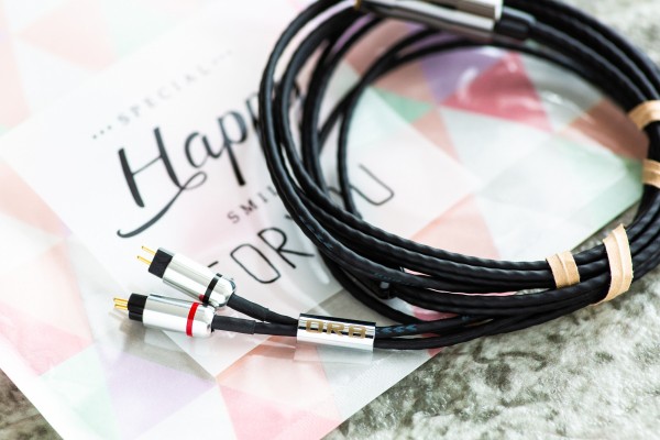 ESSENCE AUDIO オーダーメイドUSBケーブル OYAIDEからType AtoCの