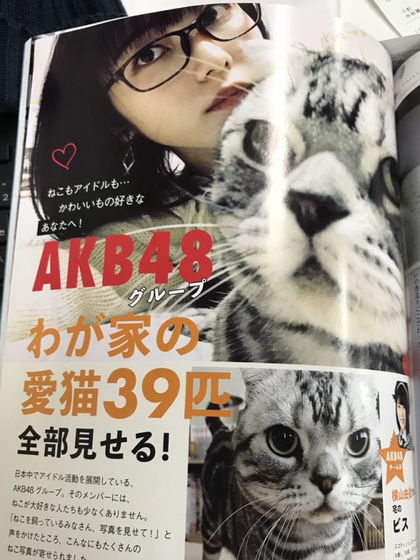 ねこ自身vol 3 にゆいはん ビスが掲載 はんなりまとめ Akb48g総監督 横山由依まとめサイト