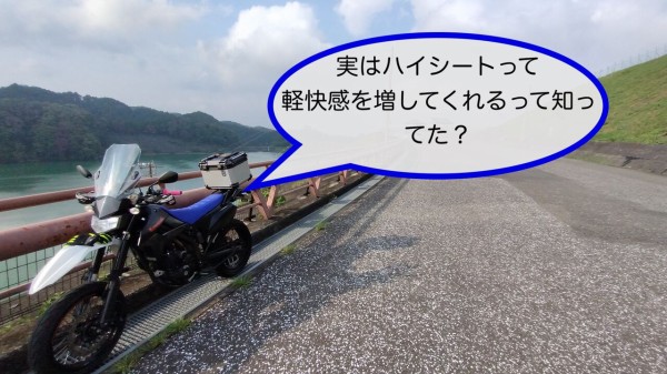 Dトラッカー あんこ盛りシート KLX125 Dトラッカー125 あんこ抜きシート - メルカリ