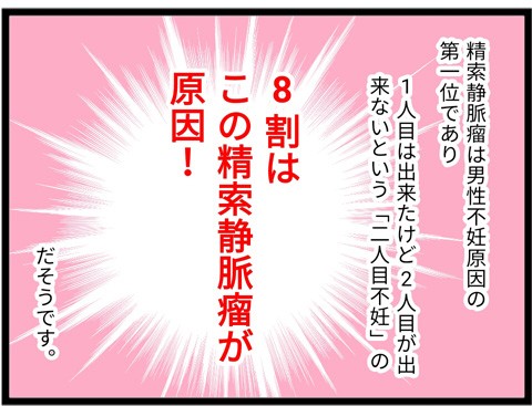 不妊治療体験記26 精索静脈瘤 男性不妊原因１位であり2人目不妊の8割はこれが原因 家族絵日記ひまわりといっしょ