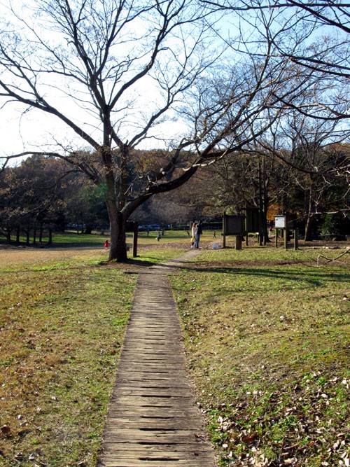 立田自然公園 Yukamasa