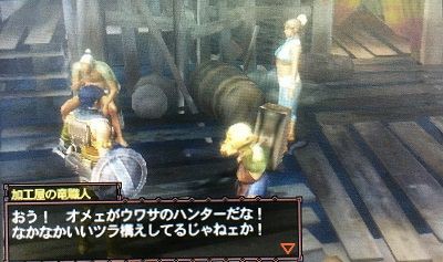Mh3g T10判定道中その1 モガの村 モンハン活動記 雪月花