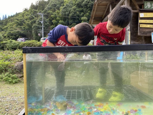 春の 水中コイン落としゲーム が始まりますよ つりのあとも 楽しい 湯来つり堀