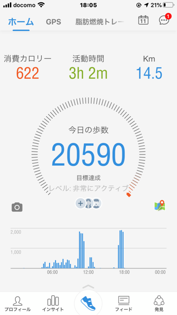 踏み台昇降運動とウォーキング 半日断食で効果倍増 アラフィフシングルママ 楽しく節約