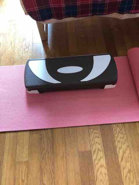 踏み台昇降運動とウォーキング 半日断食で効果倍増 アラフィフシングルママ 楽しく節約