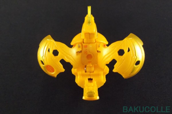 leonidas レオニダス　oc 子株 Yahoo!オークション - 【TMK】Leonidas 子株 ビカクシダ