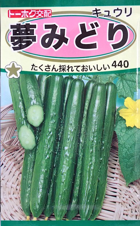 森のきゅうりさま依頼資料 夢みどり」きゅうり浸種！「広巾晩生白茎京菜」自家採種！夏野菜の育苗