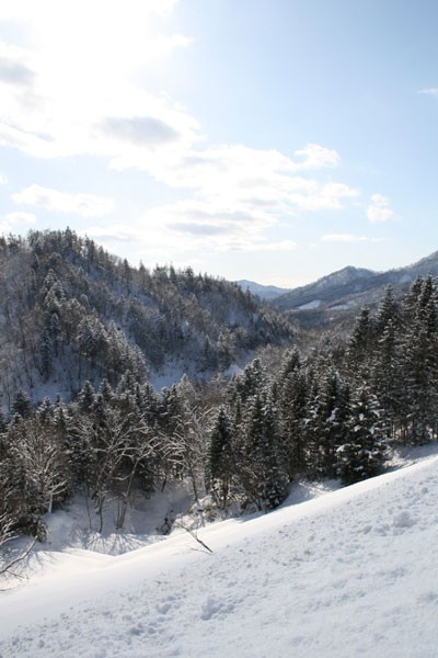 富良野出張 北海道風景 ゆっくりずむ