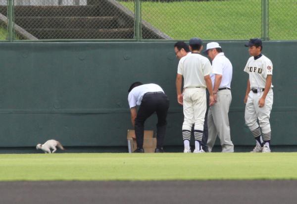 ほっこり 高校野球にて ハプニング発生 話題の画像祭り