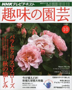 バラの鉢は11月に植え替え 2月に剪定 バラ栽培アドバイザー 有島さん流でやっています この方法を知ったきっかけは6年前 Nhk趣味の園芸 L O H A S Y 天然生活 天然素材に ハマってます