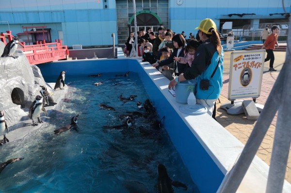 南知多ビーチランドに行ってきました！！ : みよしブログ