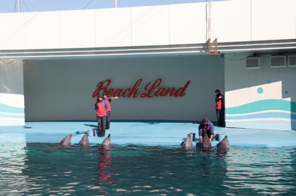 南知多ビーチランドに行ってきました！！ : みよしブログ