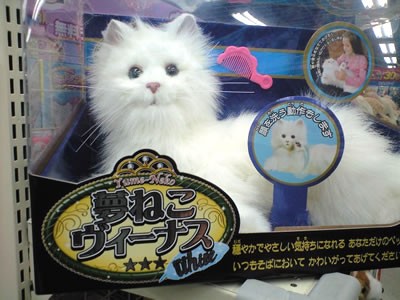 セガトイズ 夢ねこビーナスの写真です : 夢ねこヴィーナスの購入なら