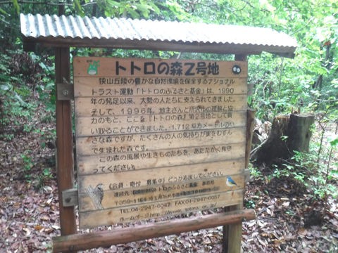 荒畑富士 トトロの森 八国山 狭山丘陵ハイキング Yumepalletのblog