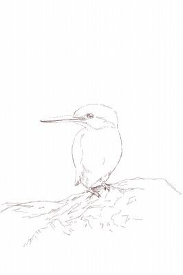 噂の自動着色ツール P 日記 週記かも