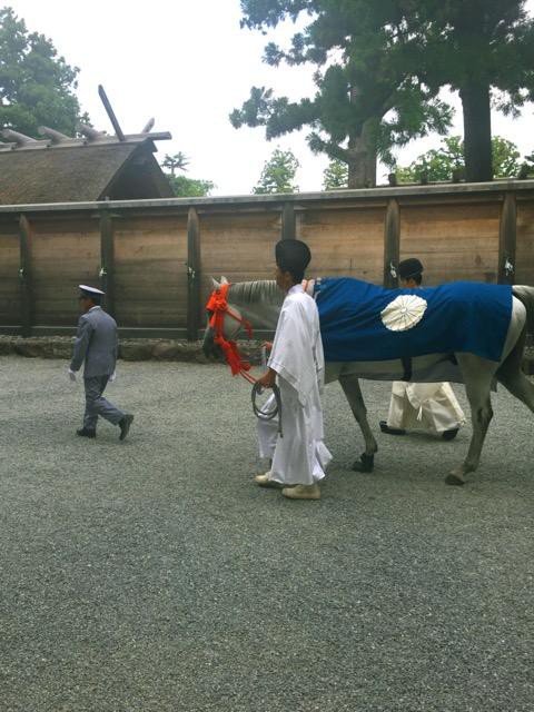 神様が乗る馬に出会えた ふりむけば石川