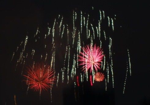 くきのうみ花火の祭典 花の旅