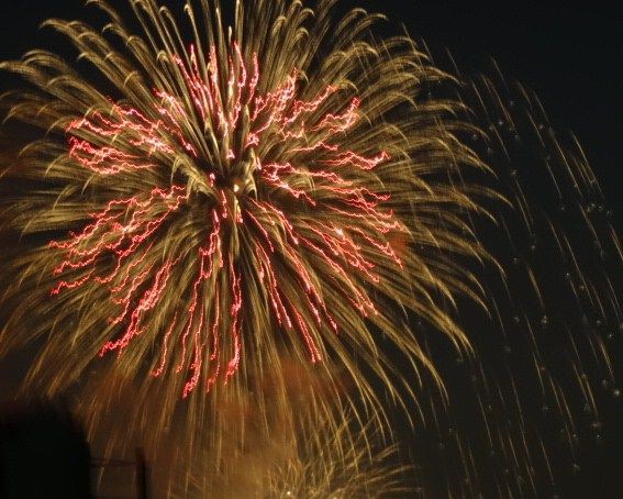 くきのうみ花火の祭典 花の旅