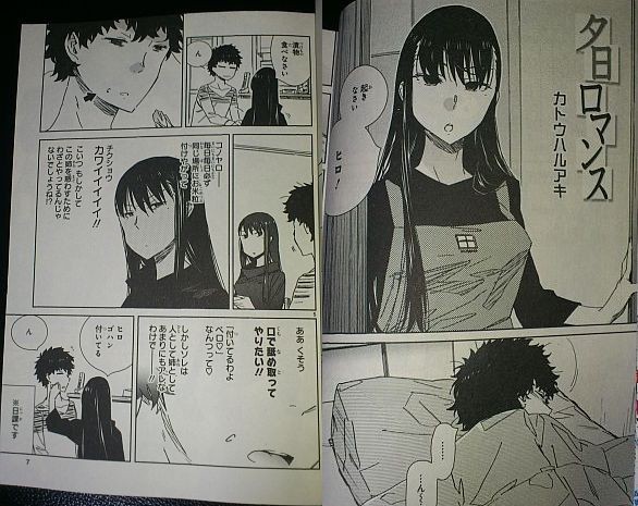 Srw村の住人 鋼壁銀閣寺zz