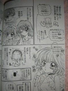 有菜の種 種村有菜 百合な日々