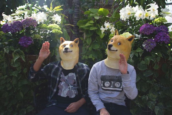 日本の柴犬かぼすちゃん ついに海外で Dogeマスク として商品化 きめぇwwwwww ユルクヤル 外国人から見た世界