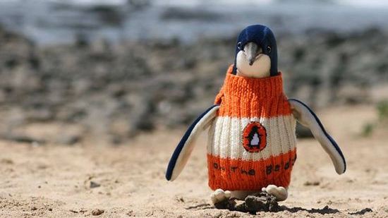 ペンギンにセーターを着せよう ペンギンを救うため 世界中に支援の輪が広がる ユルクヤル 外国人から見た世界