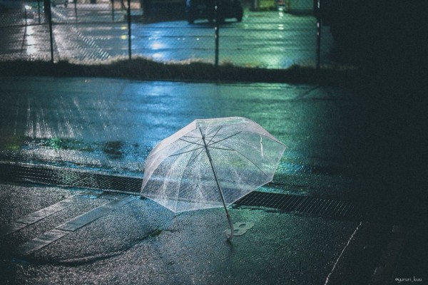 しとしと雨 写真と暮らし