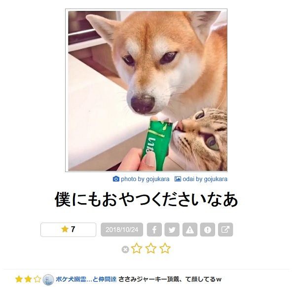 Boketeで笑った写真にツッコミを入れてみる 26 ゆるやか100