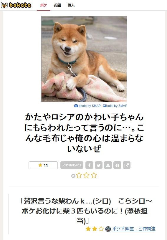 ボケ犬幽霊 と仲間達さんが作ってる各犬 猫のキャラ設定がわかってきた ゆるやか100