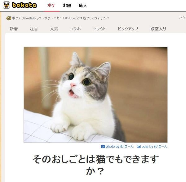 Boketeで笑った写真にツッコミを入れてみる ２ ゆるやか100