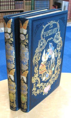 フランスアンティーク アメデ・ヴァラン パピヨン 1852年 銅版画手彩色 LES PAPILLONS アメデ・ヴァラン挿絵本「パピヨン」 2冊揃