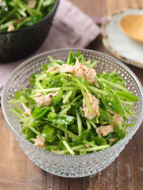 きょうのサラダ : おかずにおつまみに、野菜たっぷりの家庭サラダ100 きょうのサラダ : おかずにおつまみに、野菜たっぷりの家庭