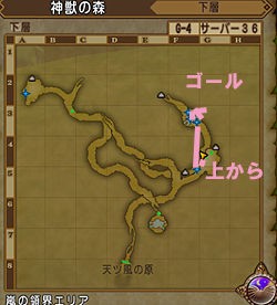 神獣の森キラキラマラソンmap Ver3 5前期 ゆうきりんりん