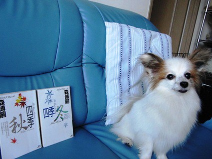 真賀田四季 私と家族とパピとぷ