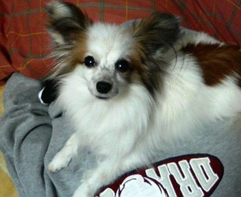 ぶさいく です よ