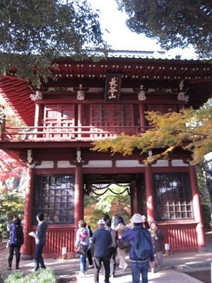 松戸 本土寺 で紅葉見物 ディスカスの逍遥日誌