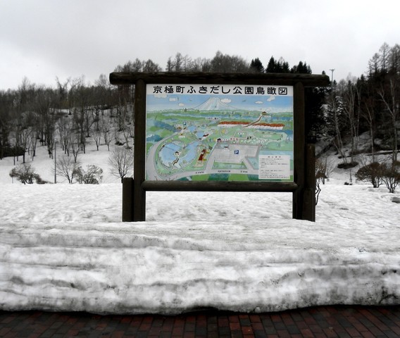 ちょっと落ち着かないくらいゴージャスな巨大温泉ホテル 定山渓温泉 定山渓ビューホテル 日本ボロ宿紀行