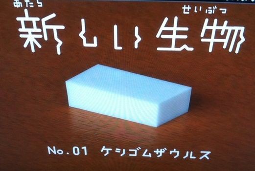 テレビと猫 みみりん155 157日目 猫好きわーきんぐままの育児にっき