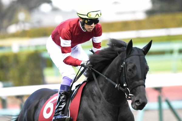 持ち馬