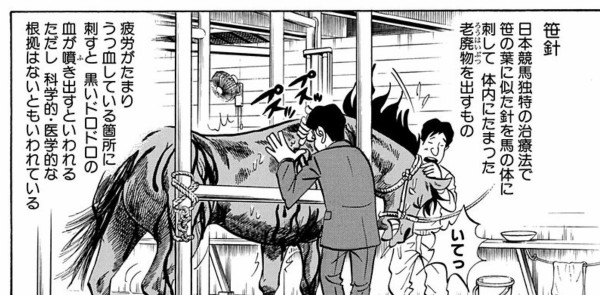 ウマ娘 安心沢の針治療に元ネタとかあるのか 他小ネタまとめ うま賢 ウマ娘まとめサイトー