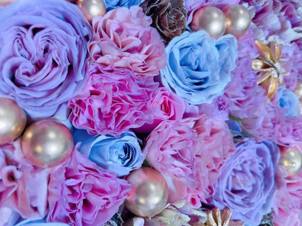 ニコライバーグマンのフラワーボックスのおはなし その2 雑貨パトロール