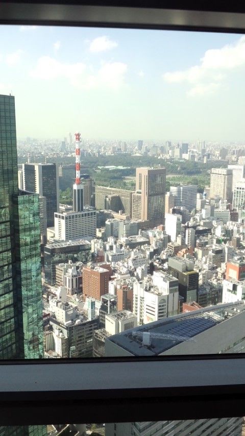 汐留 Yakiniku Toraji Param 炭火焼肉トラジ ランチ お酒記録 ざくろ型の憂鬱 地域密着
