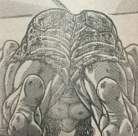 刃牙道 第105話感想ッッ ピクル その技はまさか ネタバレあり なんだかおもしろい