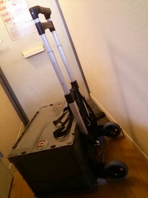 豚ジュールはセイヤソイヤ戦うんだ 豚と踊ってギガジュール