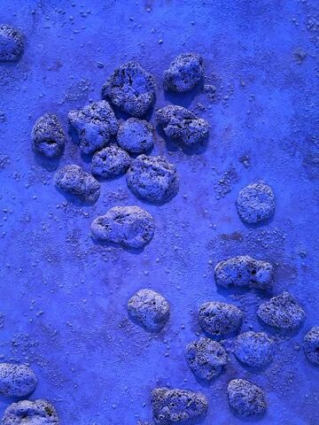 美術】イヴ・クライン／『スポンジのレリーフ、単色の青（RE 18